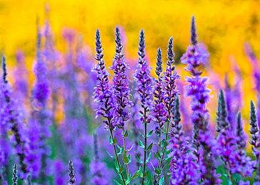 历史最低价！《底特律》新史低60% OFF四折！